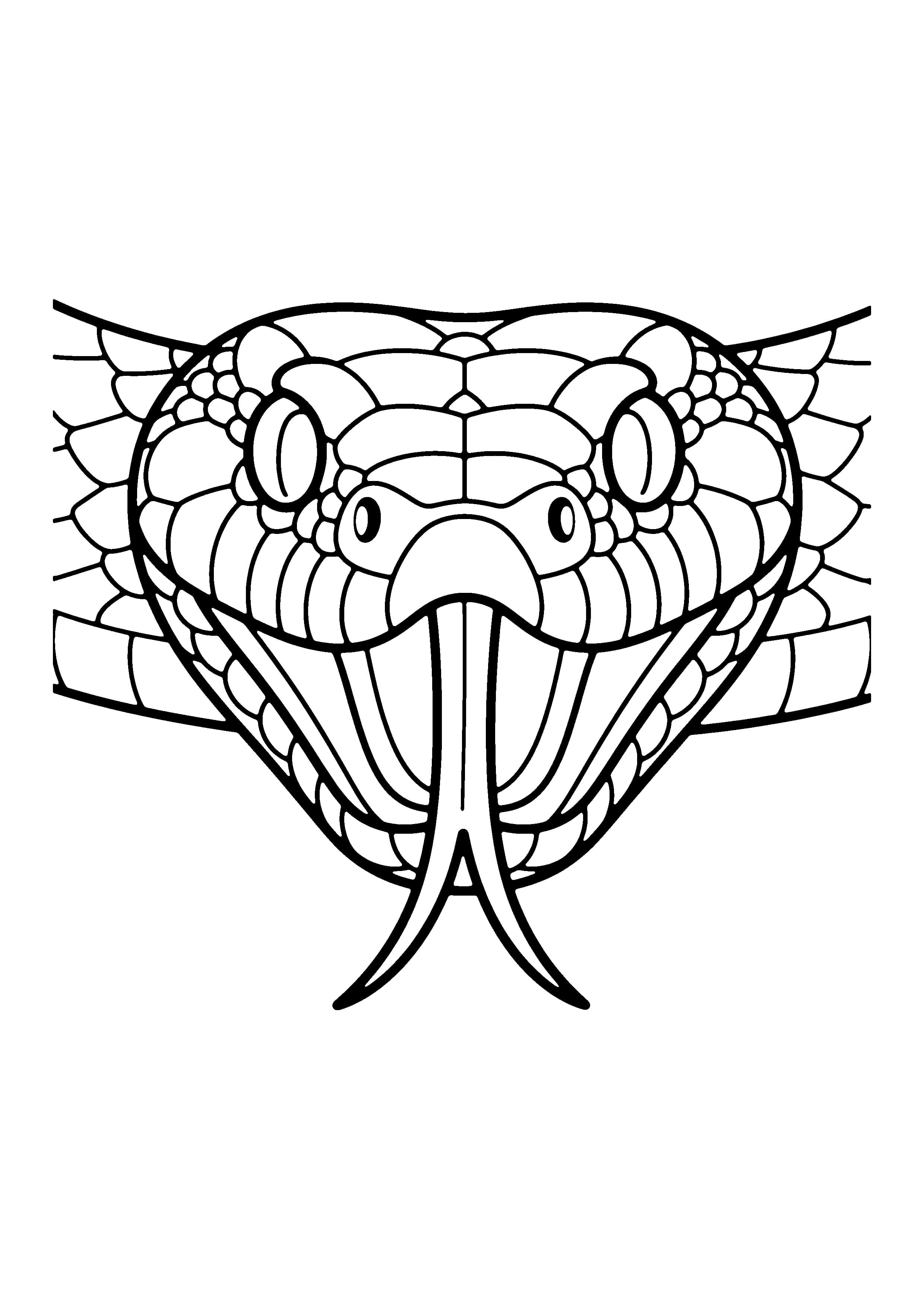 Printable hand-drawn Snake Head Close-Up coloring page