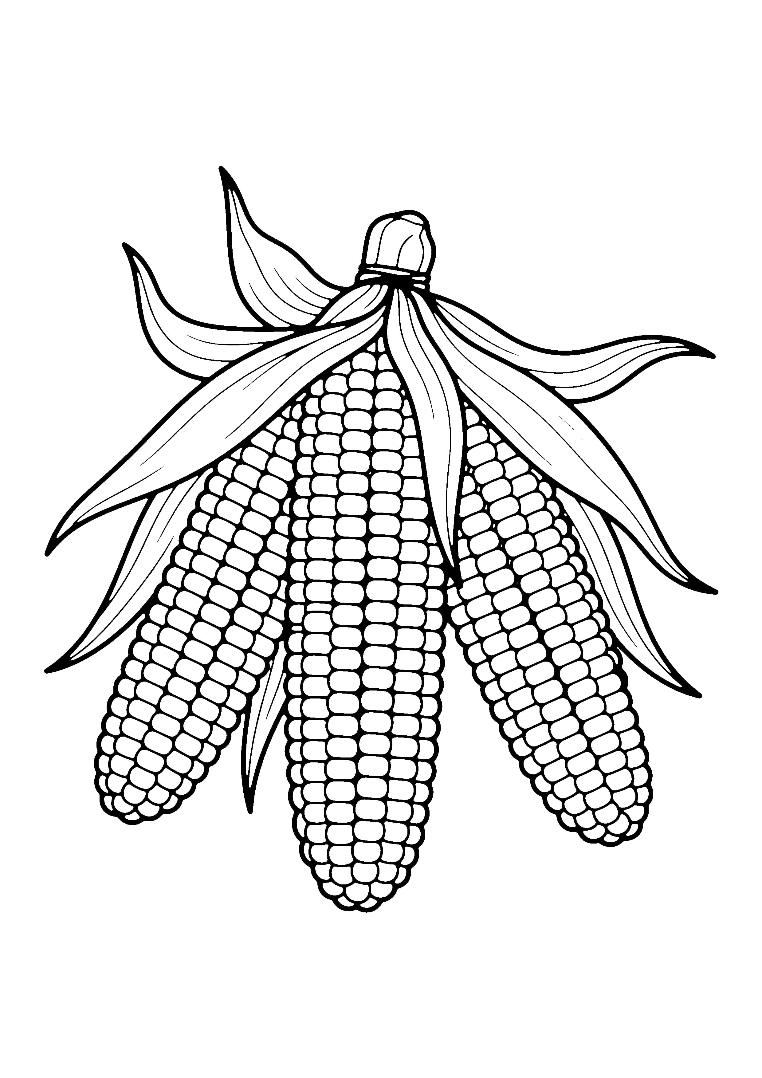 Printable hand-drawn Thanksgiving Corn coloring page