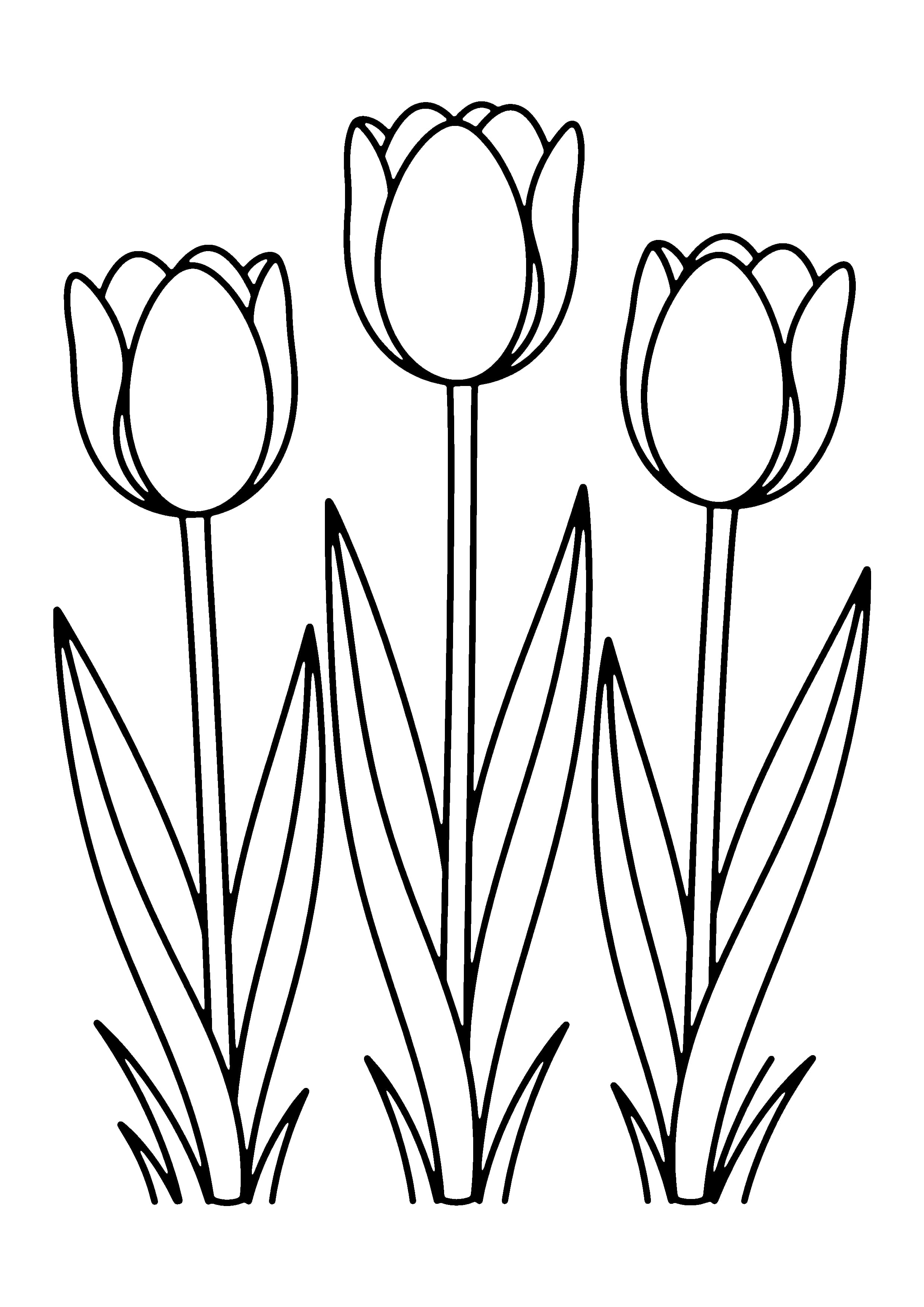Printable hand-drawn Three Garden Tulips coloring page