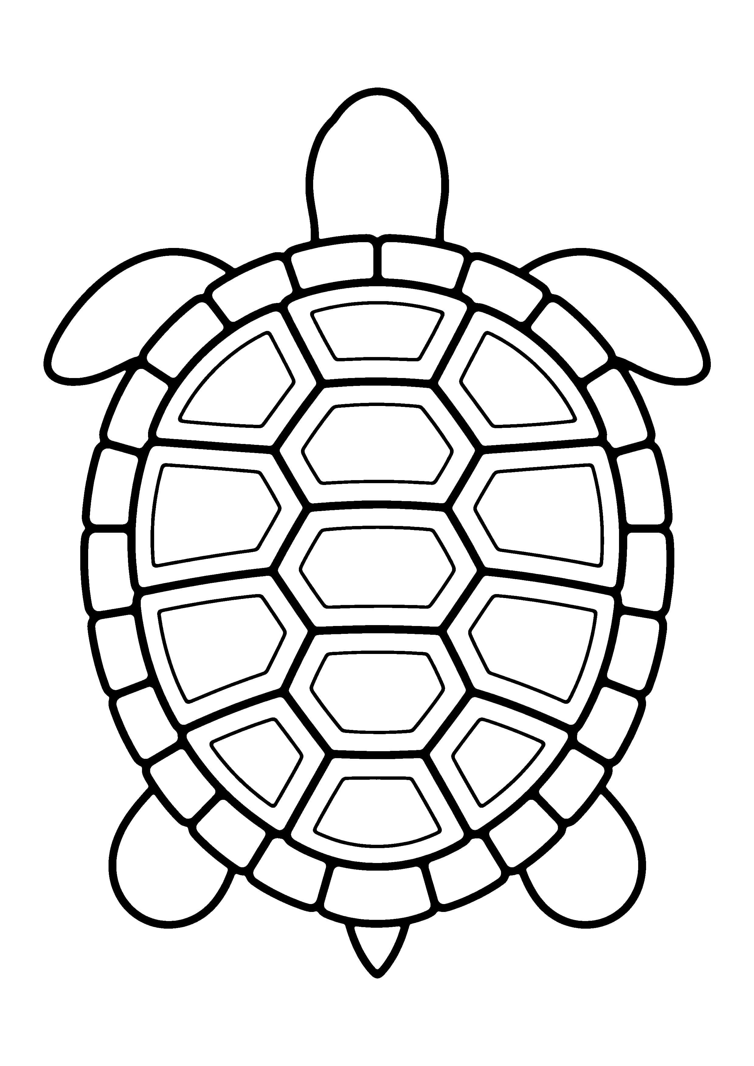 Printable hand-drawn Turtle Shell Close-Up coloring page