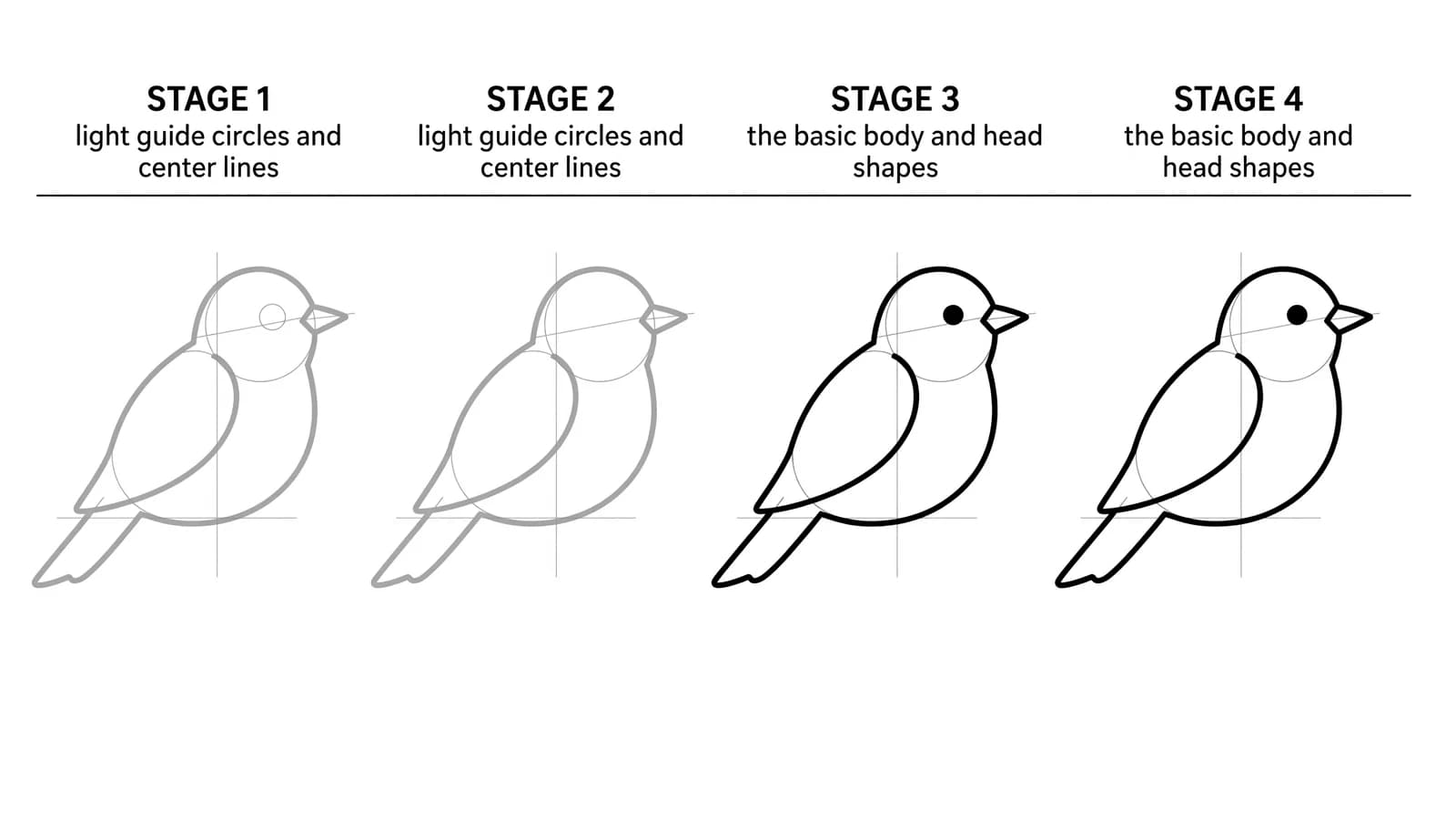 Step-by-step: how to draw a bird in four stages