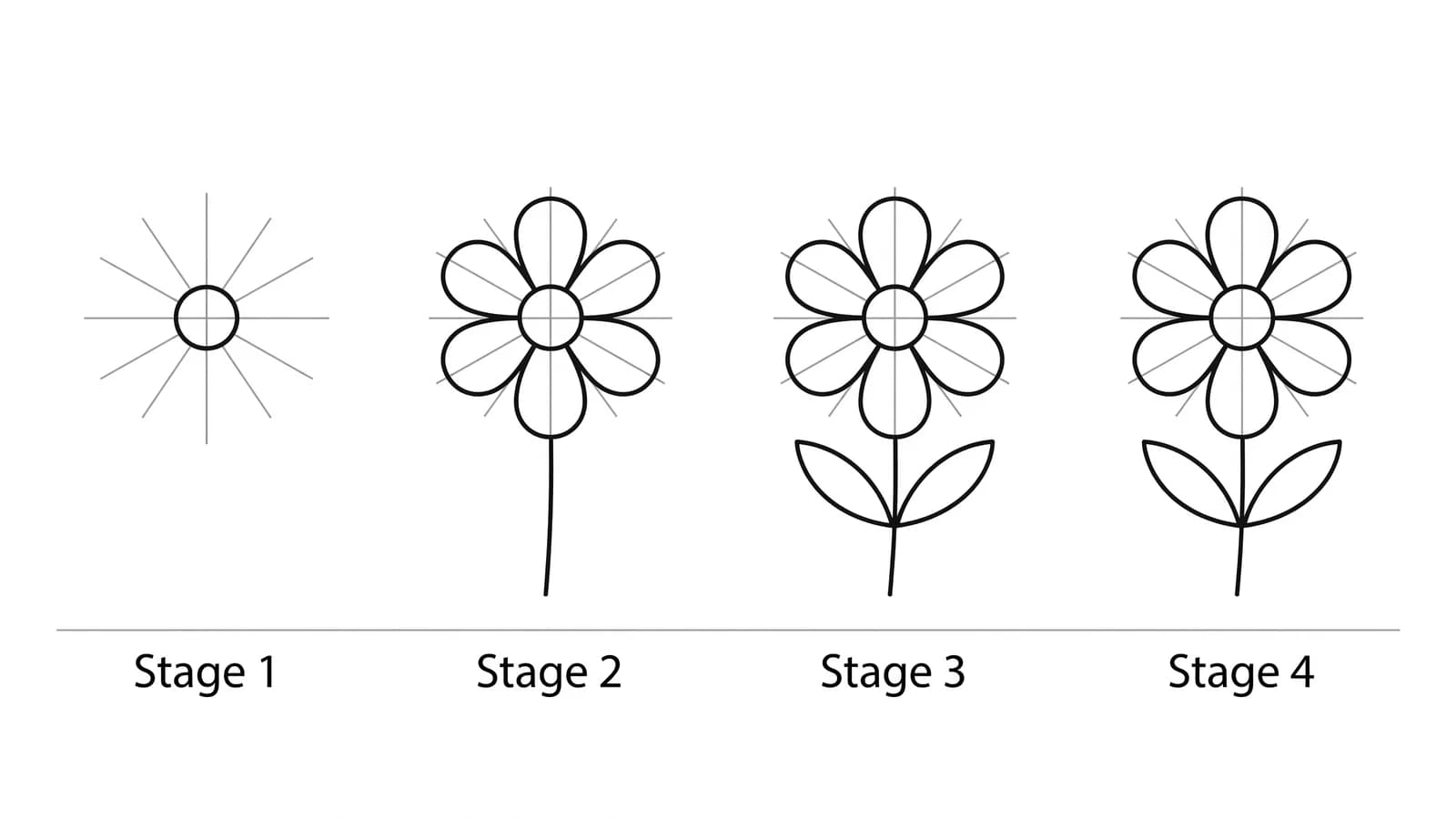 Step-by-step: how to draw a flower in four stages, from a center circle and petal guides to a finished outline