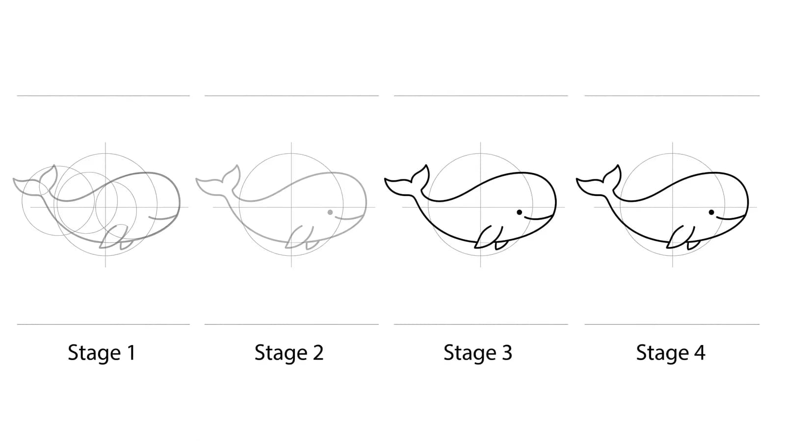 Step-by-step: how to draw a whale in four stages